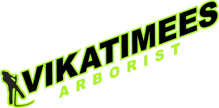 Vikatimees