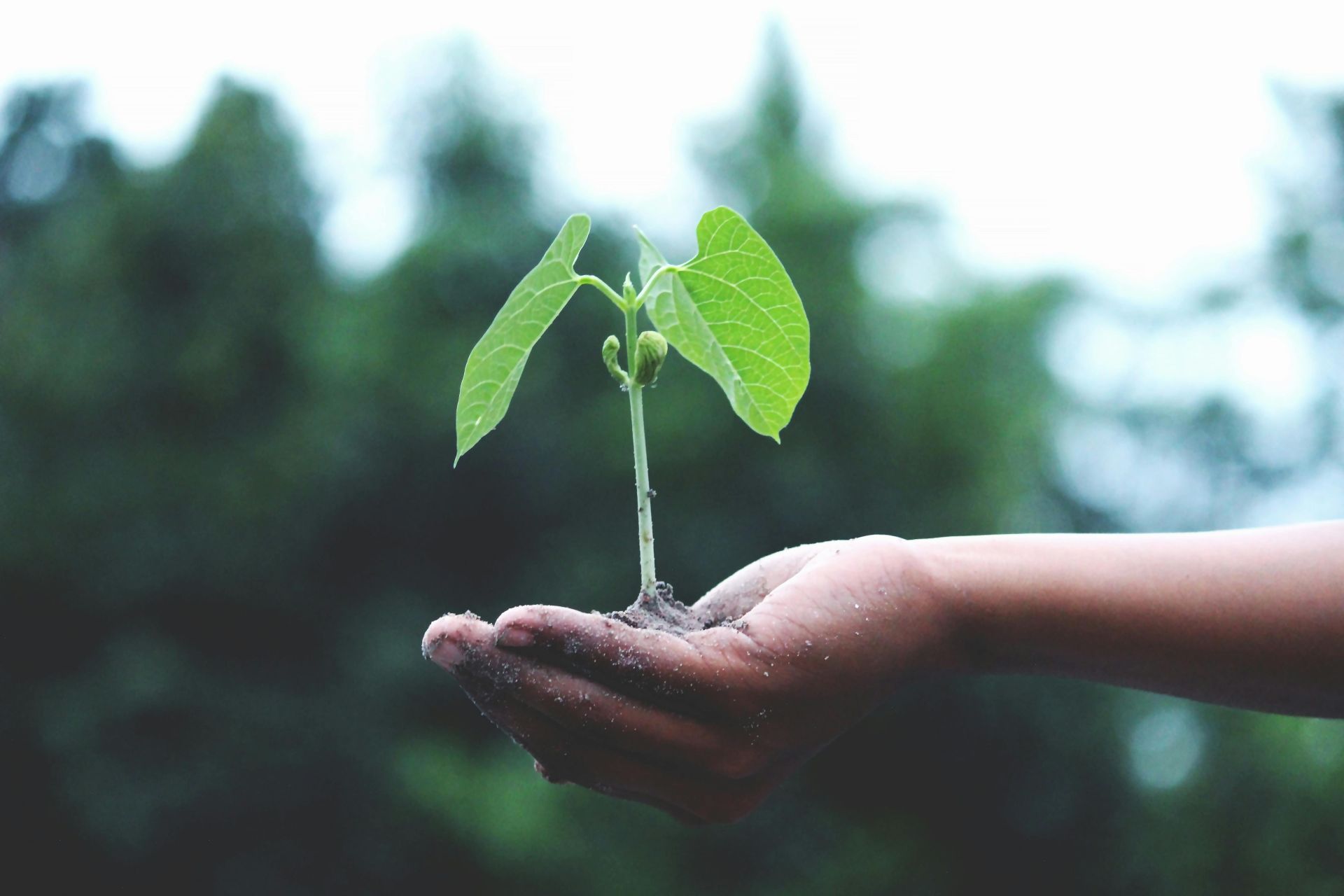 Kreatum Konsultatsioon OÜ PRIA investeeringutoetused, Innovatsiooniosak ja Arendusosak (EAS/Kredex), PRIA maapiirkonna ettevõtjate konkurentsivõime suurendamise investeeringutoetus 2023-2027, Noortaluniku toetus (Põllumajandusliku tegevusega alustava noore ettevõtja toetus) 2025
